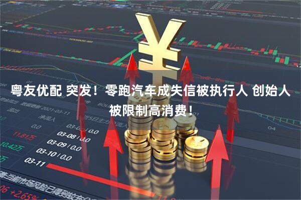 粤友优配 突发！零跑汽车成失信被执行人 创始人被限制高消费！