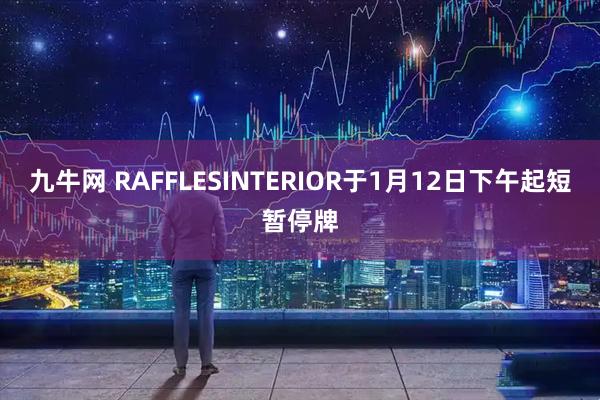 九牛网 RAFFLESINTERIOR于1月12日下午起短暂停牌