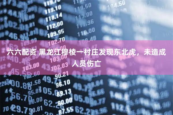 六六配资 黑龙江穆棱一村庄发现东北虎，未造成人员伤亡