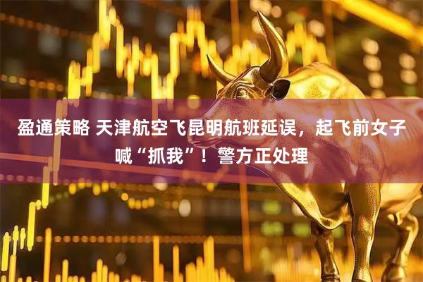 盈通策略 天津航空飞昆明航班延误，起飞前女子喊“抓我”！警方正处理