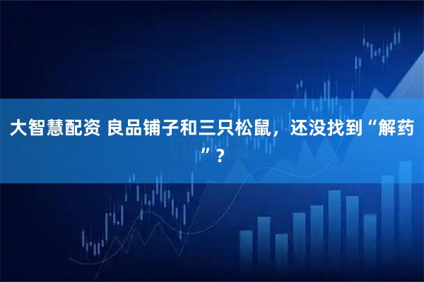 大智慧配资 良品铺子和三只松鼠，还没找到“解药”？